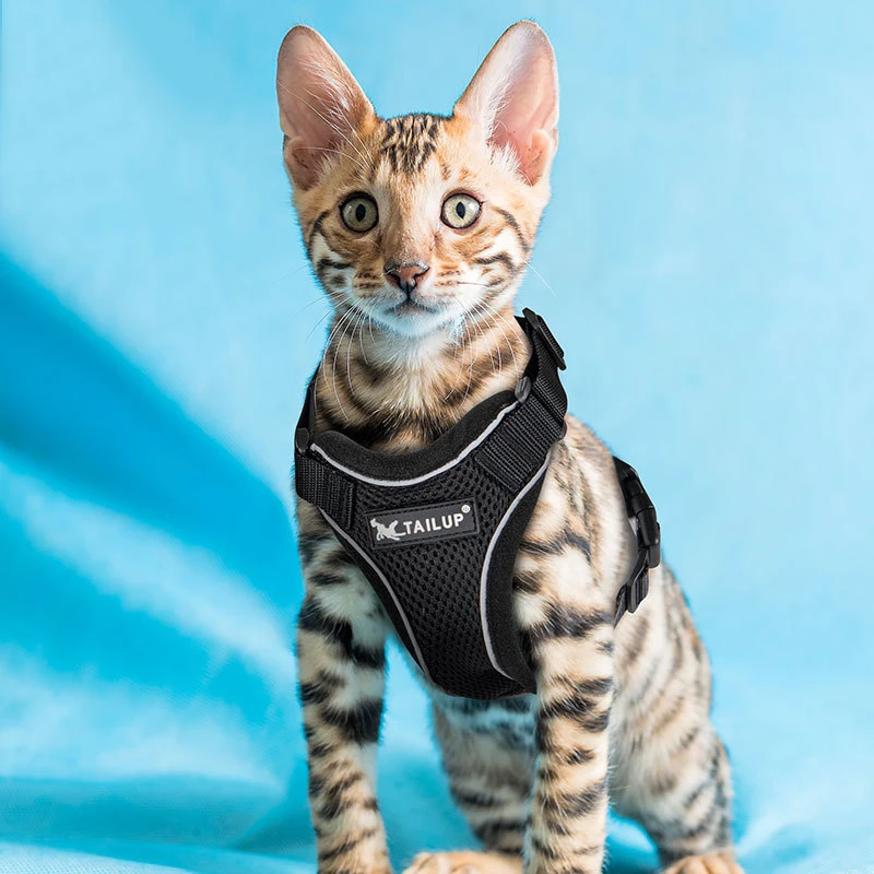 

Cat Harness Vest Adjustable Collars Black Cute Walking Lead Leash Set Harnesses Necklace for Small Dogs Collar Gato