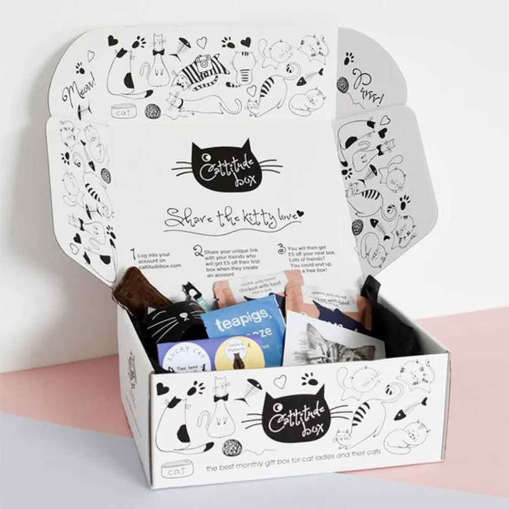 Tuck End Mailing Delivery Paper Mailer Box