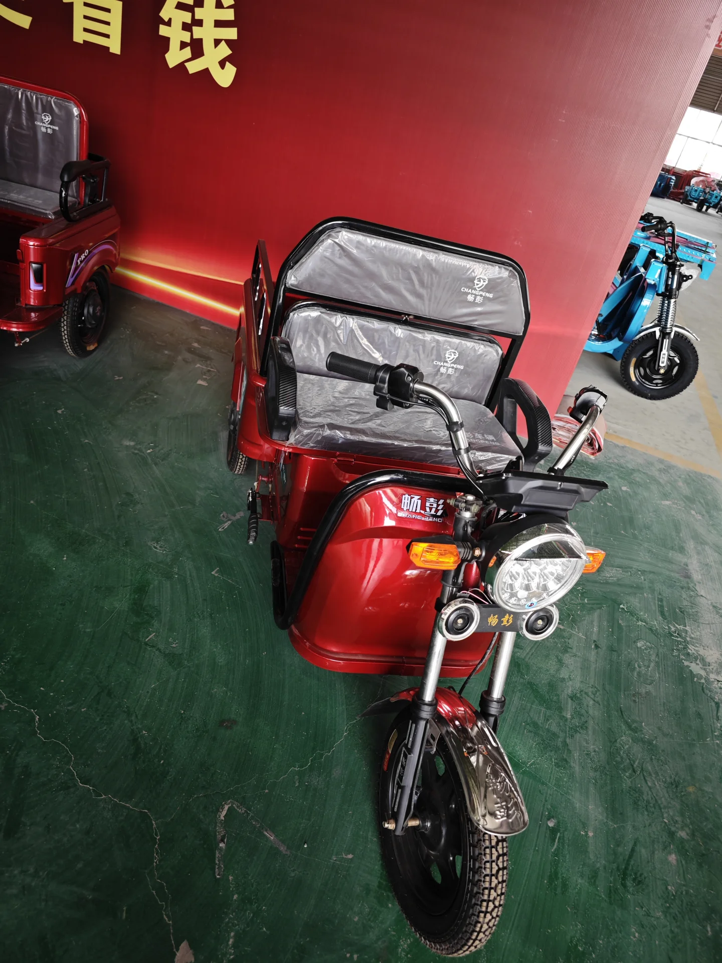 Акция Thrthree Wheeleelectric трехколесный велосипед одобренный Eec электрический 48V