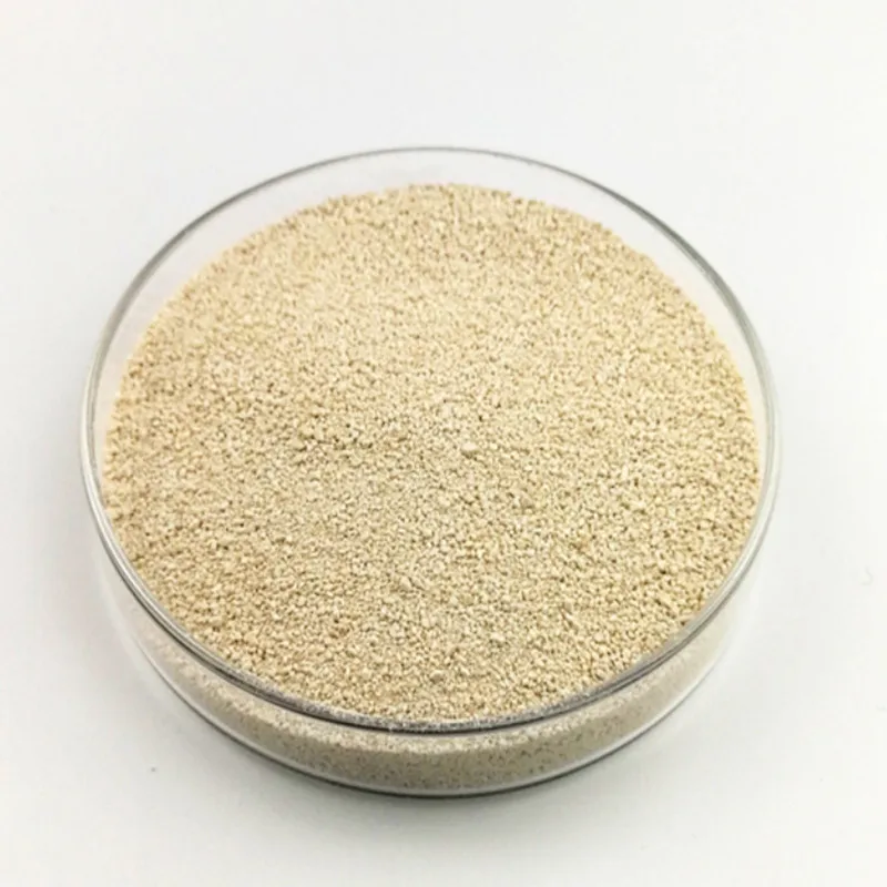

1000 gram lysine hydrochloride lysine 99% L lysine price