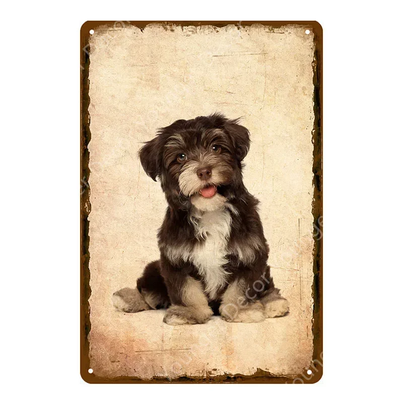 Животное Лошадь Собака Папуга Флорида Наклейка на стену Металлические знаки