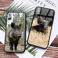 wild boar ferocious animal phone case tempered glass for iphone 11 12 13 pro max mini 6 7 8 plus x xs xr
