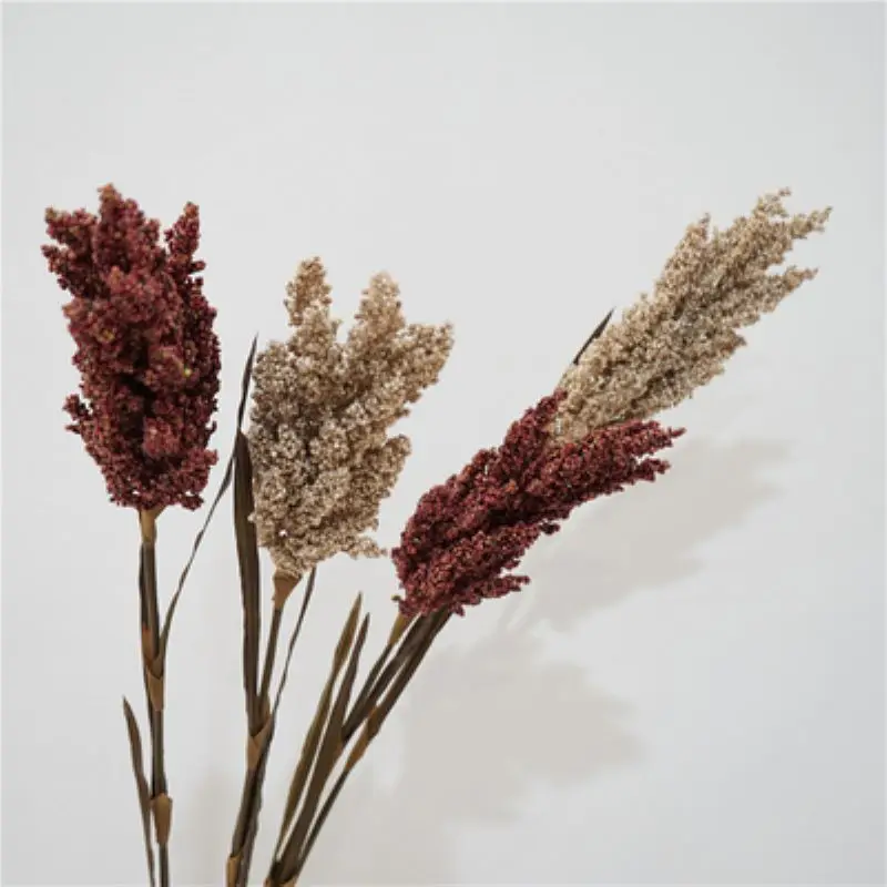 

Sorghum Plants Produce In Simulation
