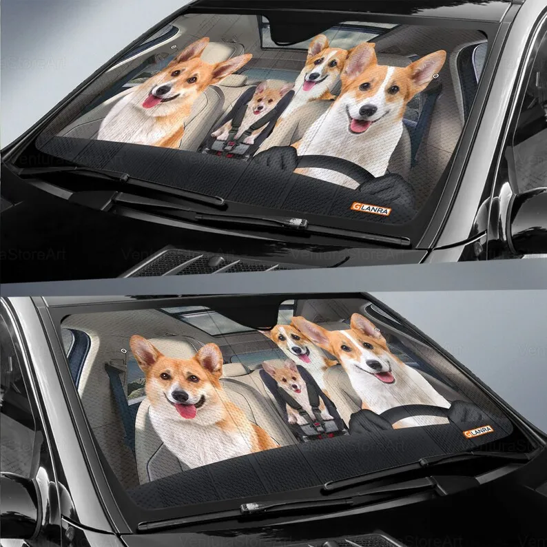 Рисунок 2 - Автомобильный солнцезащитный козырек Corgi