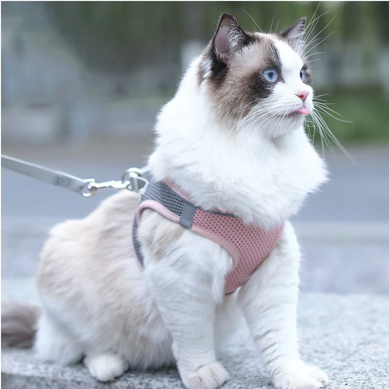 

Cat Harness Small Dog Harness Vest with Leash Adjustable Puppy Cat Chest Strap Dog Cat Collars Rope Outdoor Walking Lead Leashes