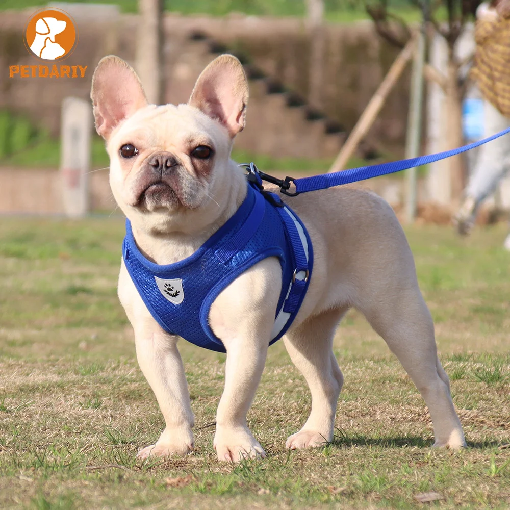 

Pet Chest Straps Vest type Traction Rope for Small Medium Cat Dogs Adjustable Reflective Breathable Outdoor Walking Lead Leashes