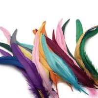 100pcs colorful rooster tail pheasant feathers christmas party decoration accessories diy plume everything for handmade 25 30cm