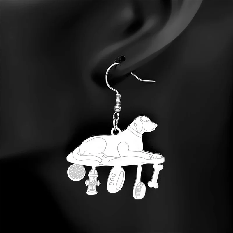 Серьги-подвески для женщин и мужчин из нержавеющей стали серебристого цвета