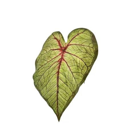 Одноветочные искусственные цветные листья Taroforest, свадебное украшение, зеленые растения, искусственные листья для дома, гостиной