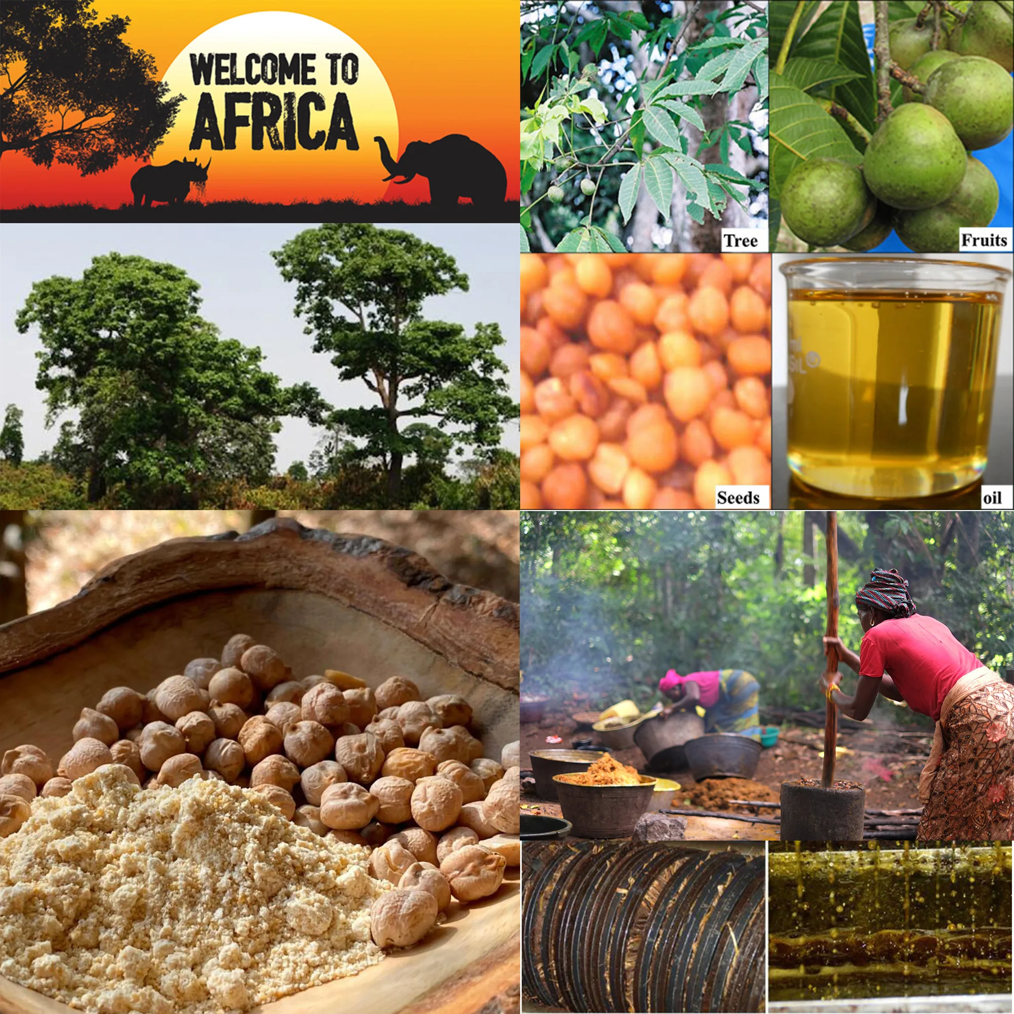 Массажное масло для бедер из Западной Африки увеличивает изгиб ваших кривых с