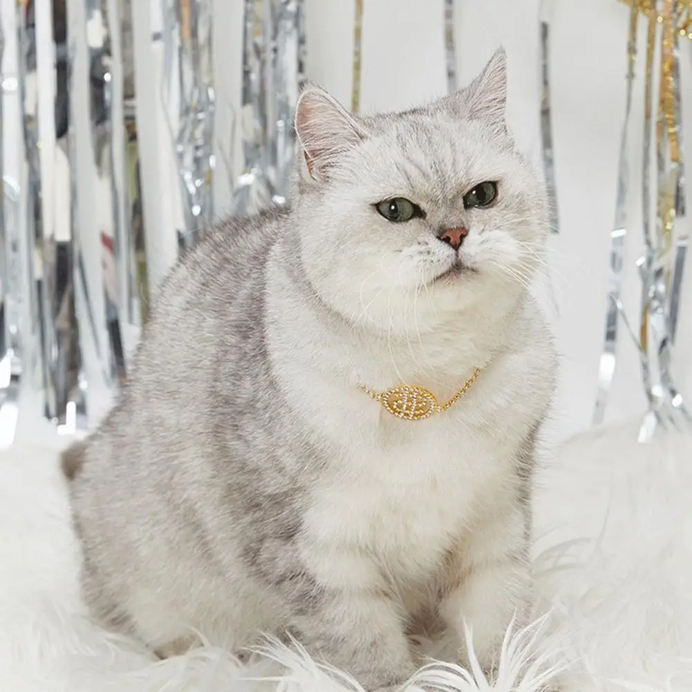 

Ожерелье-цепочка с кулоном для кошек, ослепительное ожерелье с кулоном для косплея животных