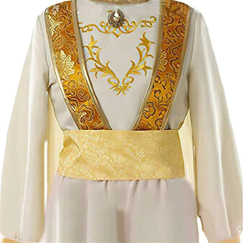 Aladdin лампа дневного света Костюм Принца костюм для взрослых мужской комплект