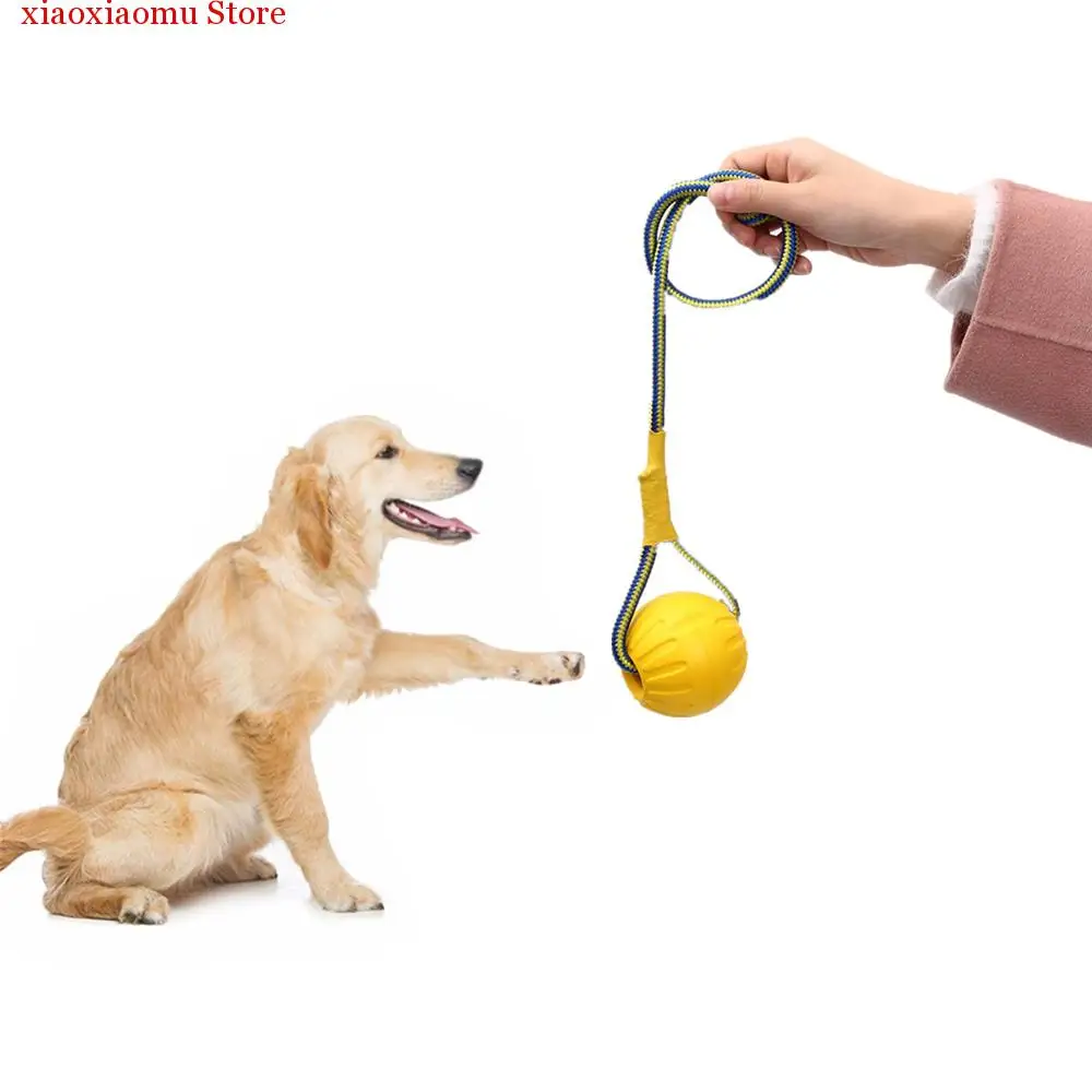 

Dogs Chew Ball Training Toys Teeth Indestructible Bite Rubber Puppy Funny Balls Play Fetch Solid With Carrier Rope Pet Dog New