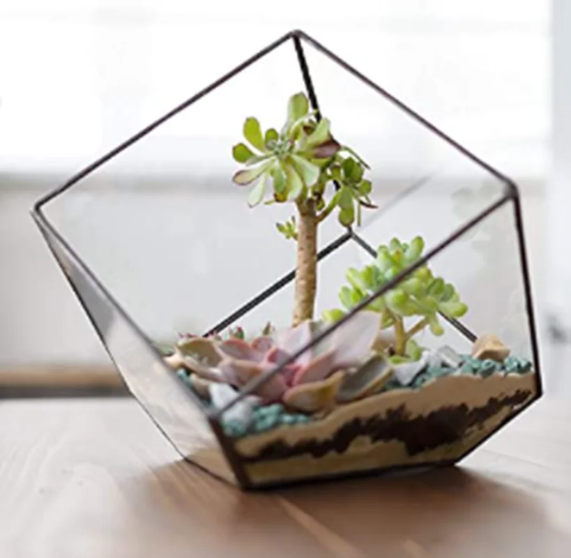 Современный стеклянный контейнер для хранения террариума прозрачный