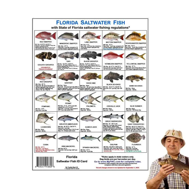 

Florida Saltwater Fish Identification Card Magnetic Card With Fish Species Guide Fishermen Identification Card