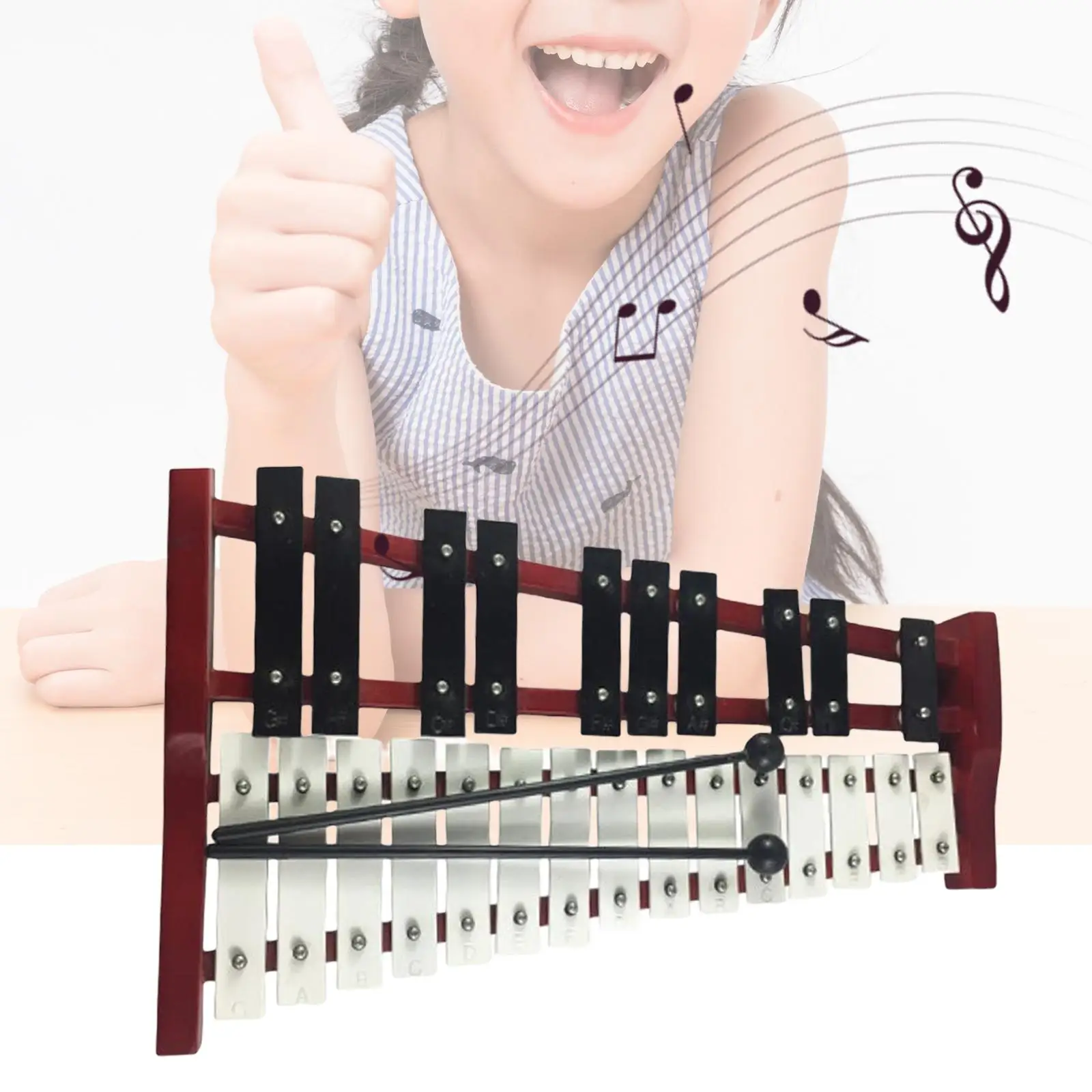 

25 Key Glockenspiel Xylophone Exquisite Craftsmanship Size 40x25x8cm Compact