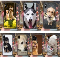 soft tpu phone bags case fluffy puppy dog for huawei y5 y5p y6 y6p y6s y7 y7a y7p y9 lite prime pro 2017 2018 2019 retro
