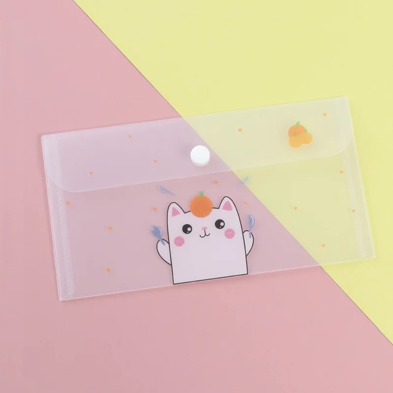 

Прозрачная пластиковая папка 20x11 см