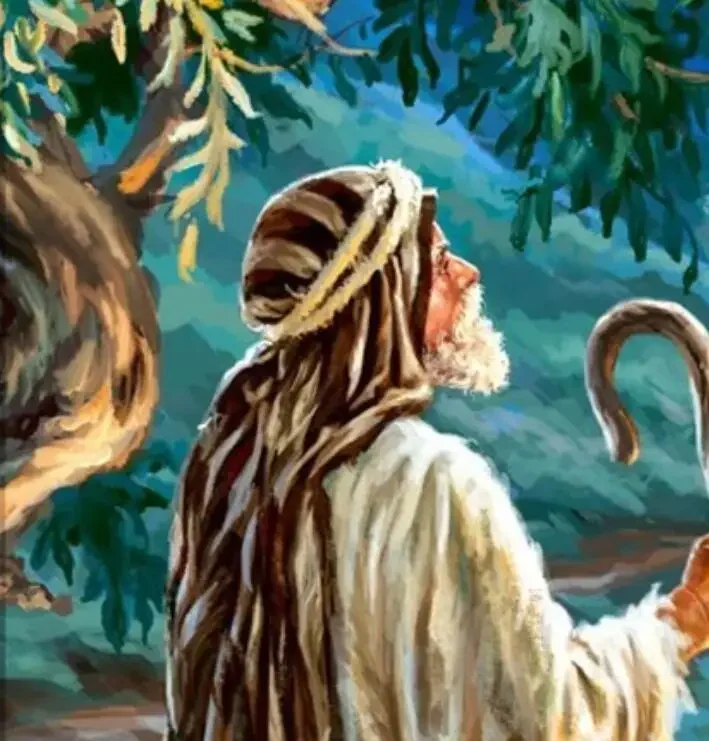 Три овчарки отправляются к их флока овец и ягнят во время накладной The Bright Star Of