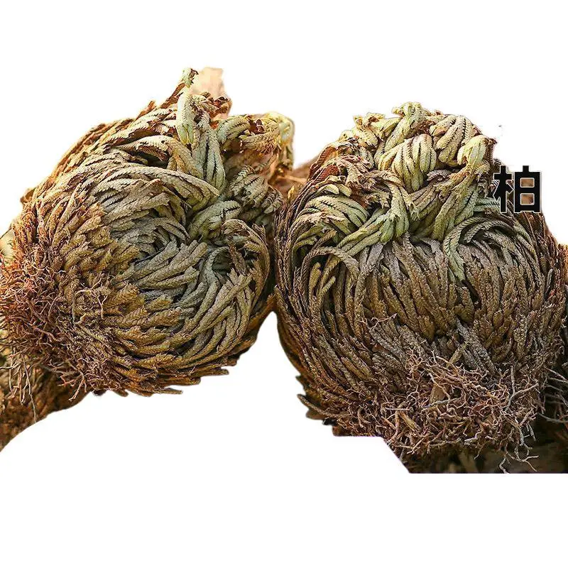 Высшее качество 100% натуральная каучуковая плагинелла тамариксовая ювелирные