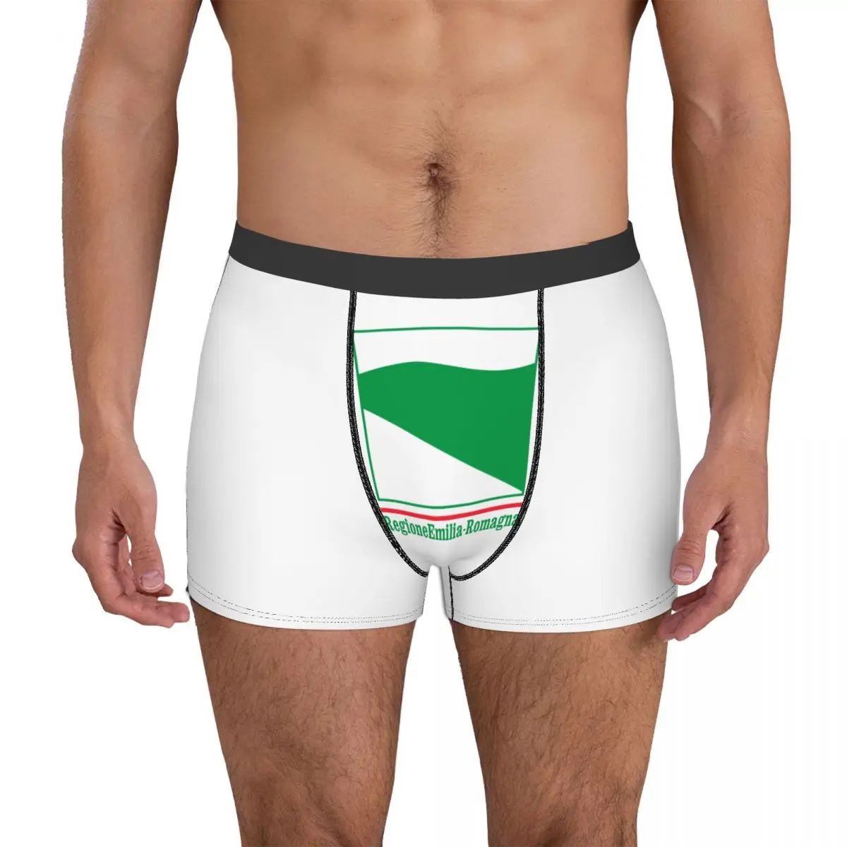

Sexy Men's Boxer Briefs Fictional Emilia-Romagna Flag Underclothes regions of Italy Autumn Wearable Funny Graphic Sarcastic