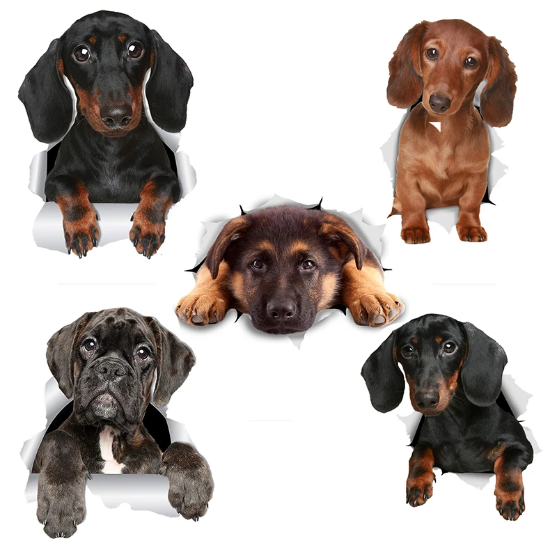 

Three Ratels 1070 3D Long Haired Dachshund SauWall Stickers For Kids Baby Girls Rooms Nursery Home Decor Vinyl Wall Decals Diy