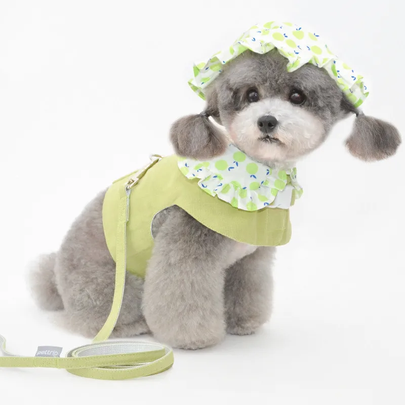 Outdoor Pet Dog Harness Vest Puppy Dog Leash Lead Set Yorshire Pomeranian Bichon Poodle Schnauzer Dog Clothes Outfit