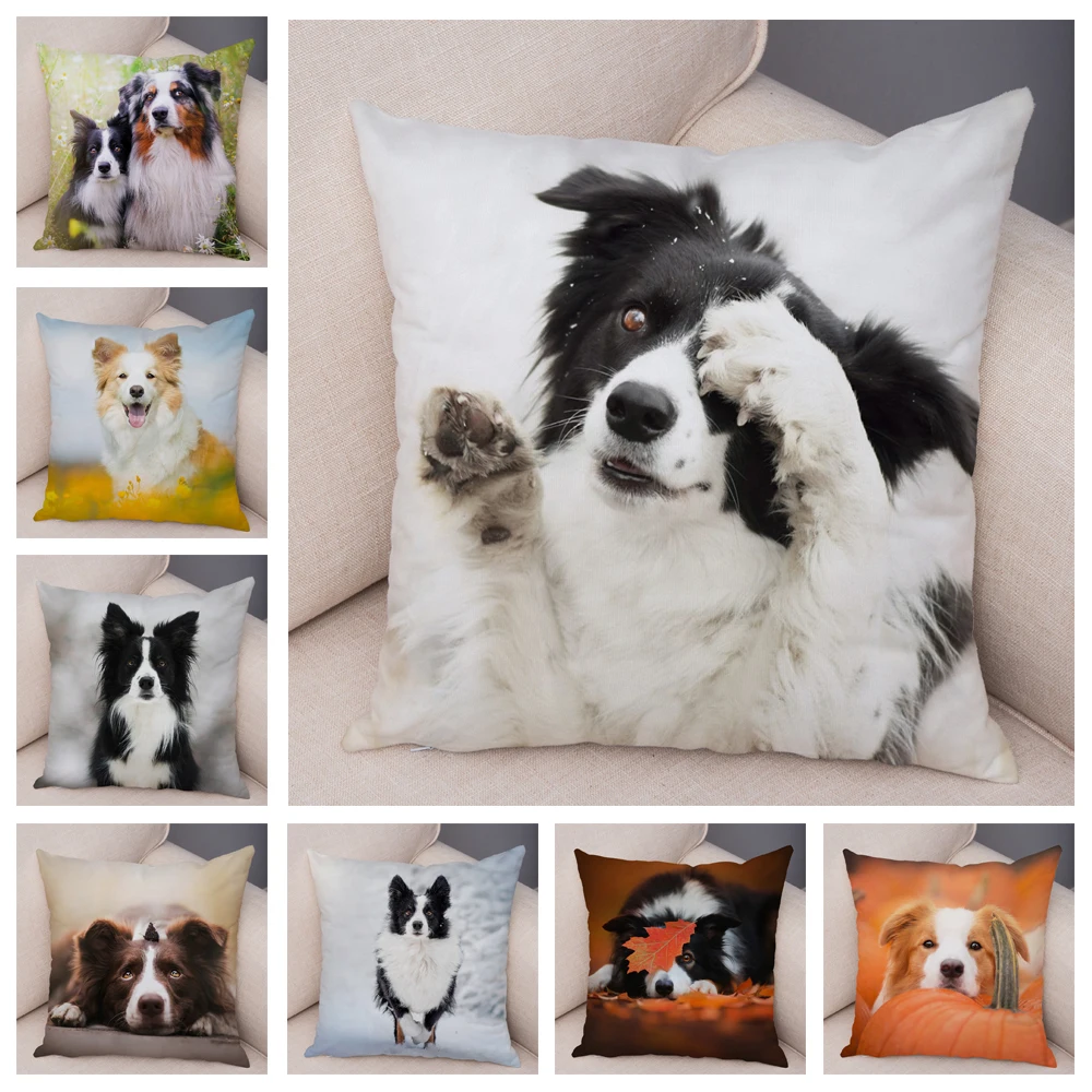 

Pillowcase Pet Print Scottish Border Collie Soft Plush Pillowcase Decorative Cute Dog Pillow Home Decor Pillow Cover