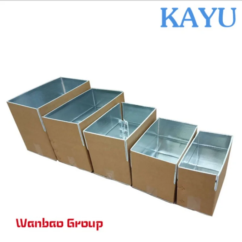 Customized Heavy Duty Thermal Insulated Shipping Box for Frozen Food