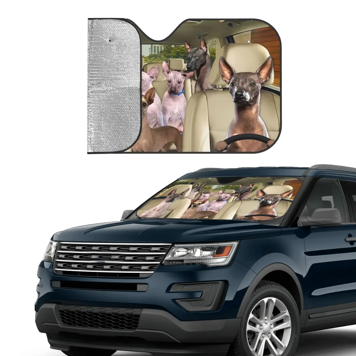 Рисунок 2 - Забавный солнцезащитный козырек для водителя собак