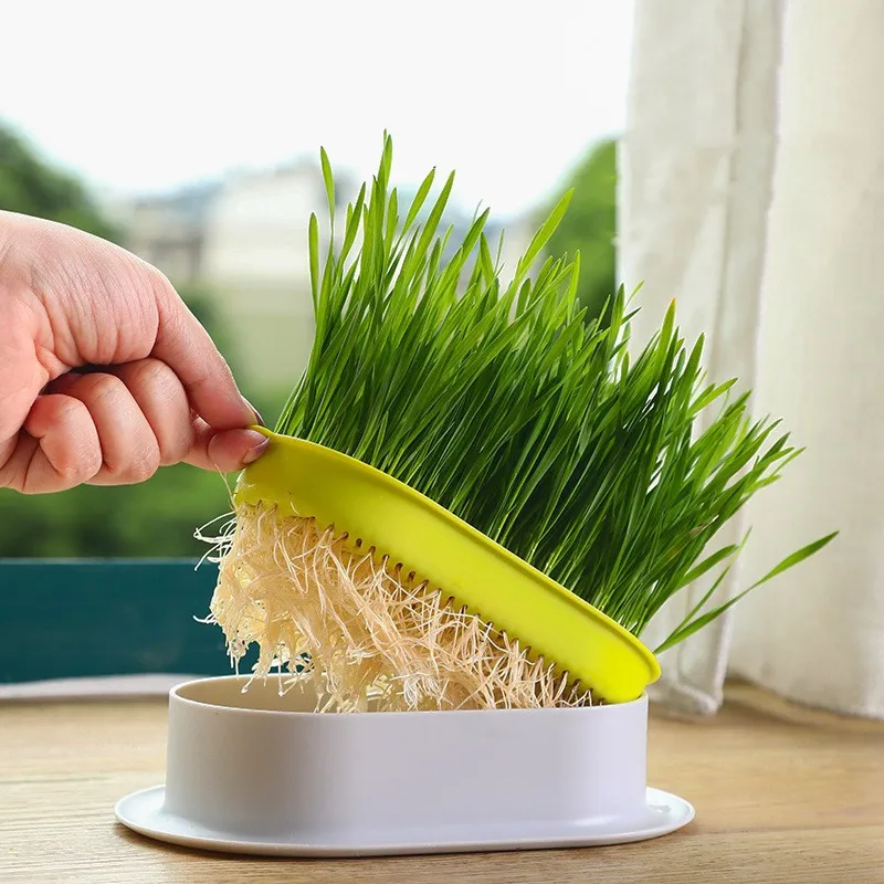 

Pet Lazy Potted Soilless Hydroponic Planting Oval Growing Cat Grass Germination Nursery Pot Non-Nuclear Reusable Supplies