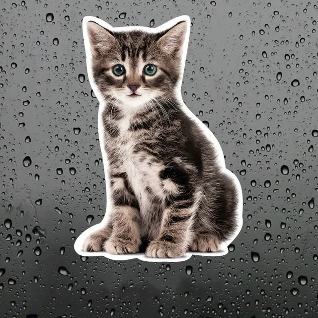 

Cute naughty cat car Sticker Sticker 18CM m4