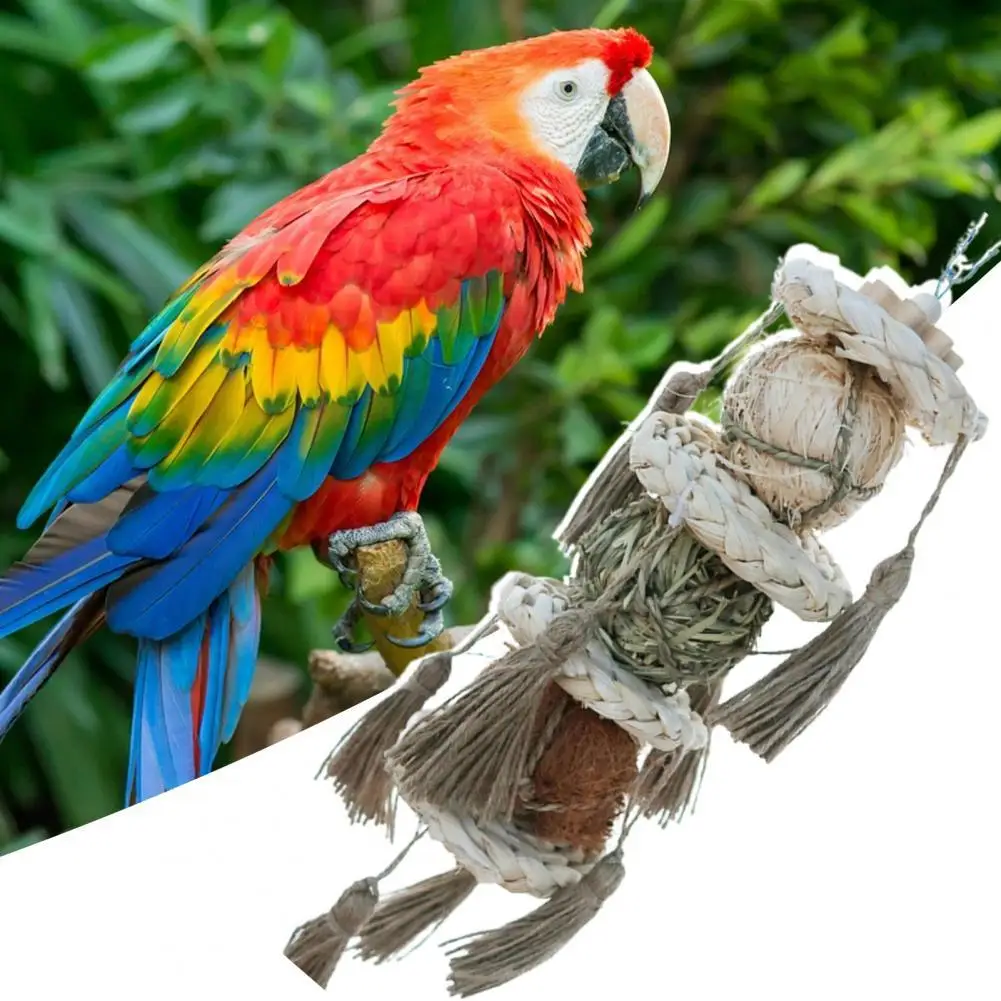 

Stable Practical Pet Bird Chew Hanging Pendant Harmless Bird Toy Anti-fade for Macaw