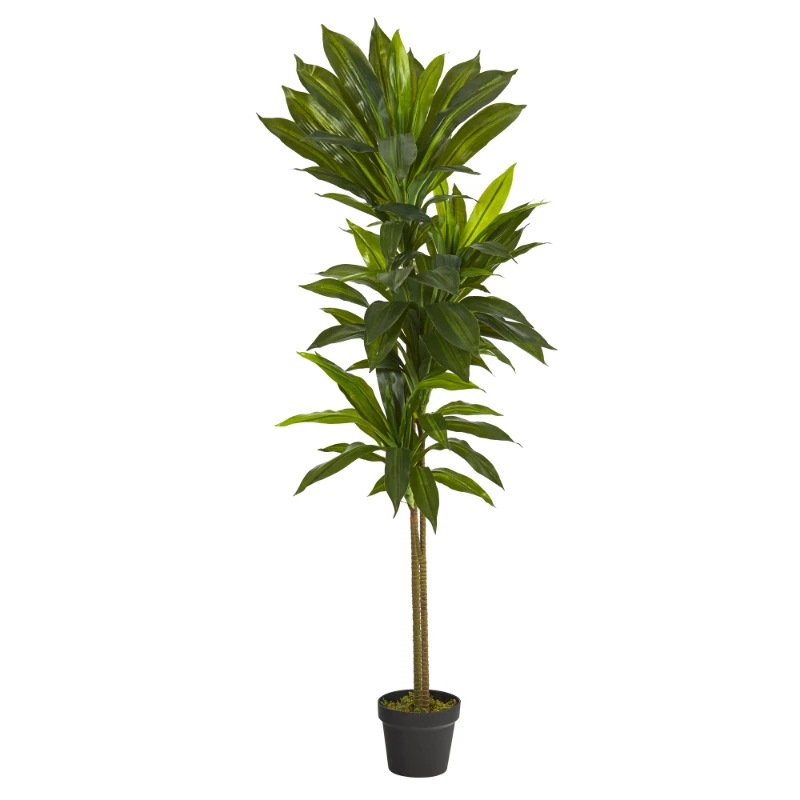 

56" Dracaena Artificial Plant (Real Touch), Green