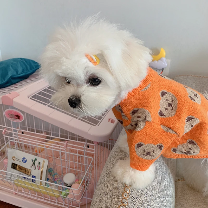 

Pet clothes, dog sweater, Teddy bear, Keji Bomei, small dog, puppy and kitten, cute autumn and winter clothes