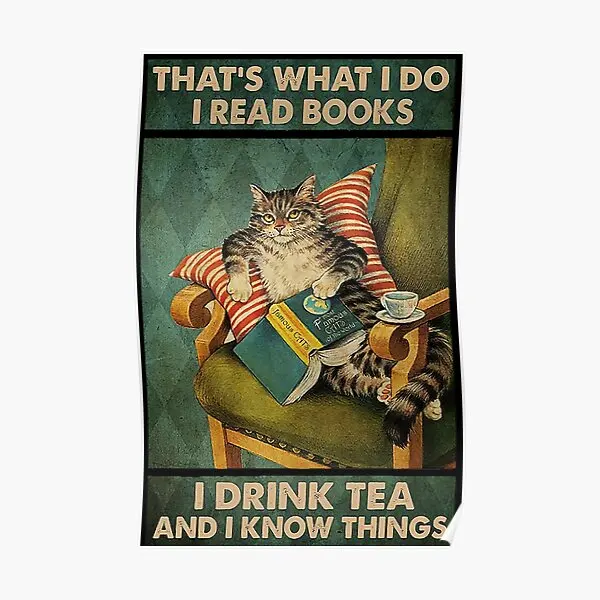 

That Is What I Do I Read Books I Drink Te Poster Funny Decoration Picture Art Room Painting Wall Decor Vintage Home No Frame