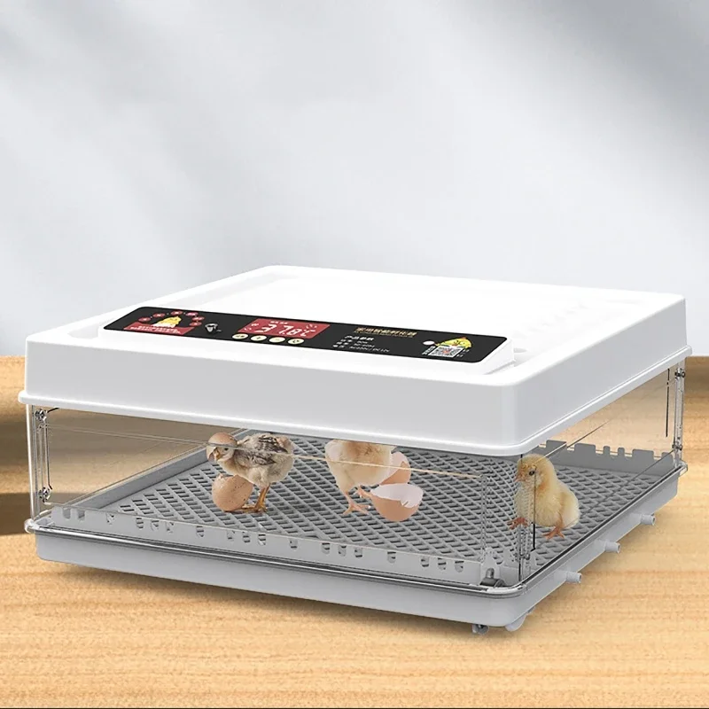 110V/220V Eggs Incubator Brooder Automatic Farm Incubation Tools Bird Quail Chick Hatchery Poultry Hatcher Turner 10/12Pcs