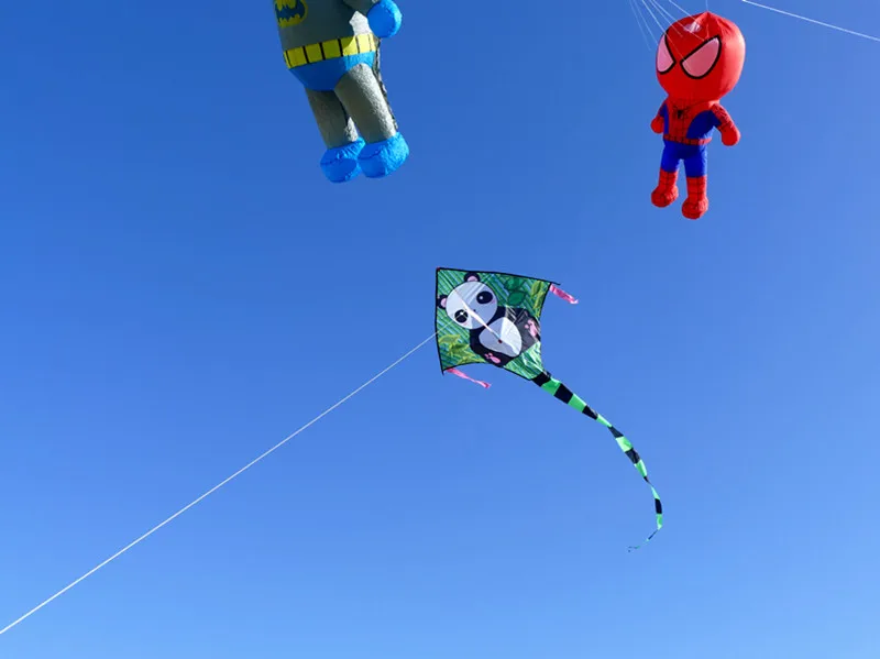 Бесплатная доставка воздушный змей динозавра летающий детский с пандой игрушки