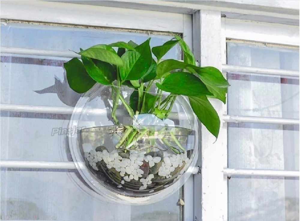 Настенный подвесной аквариум |