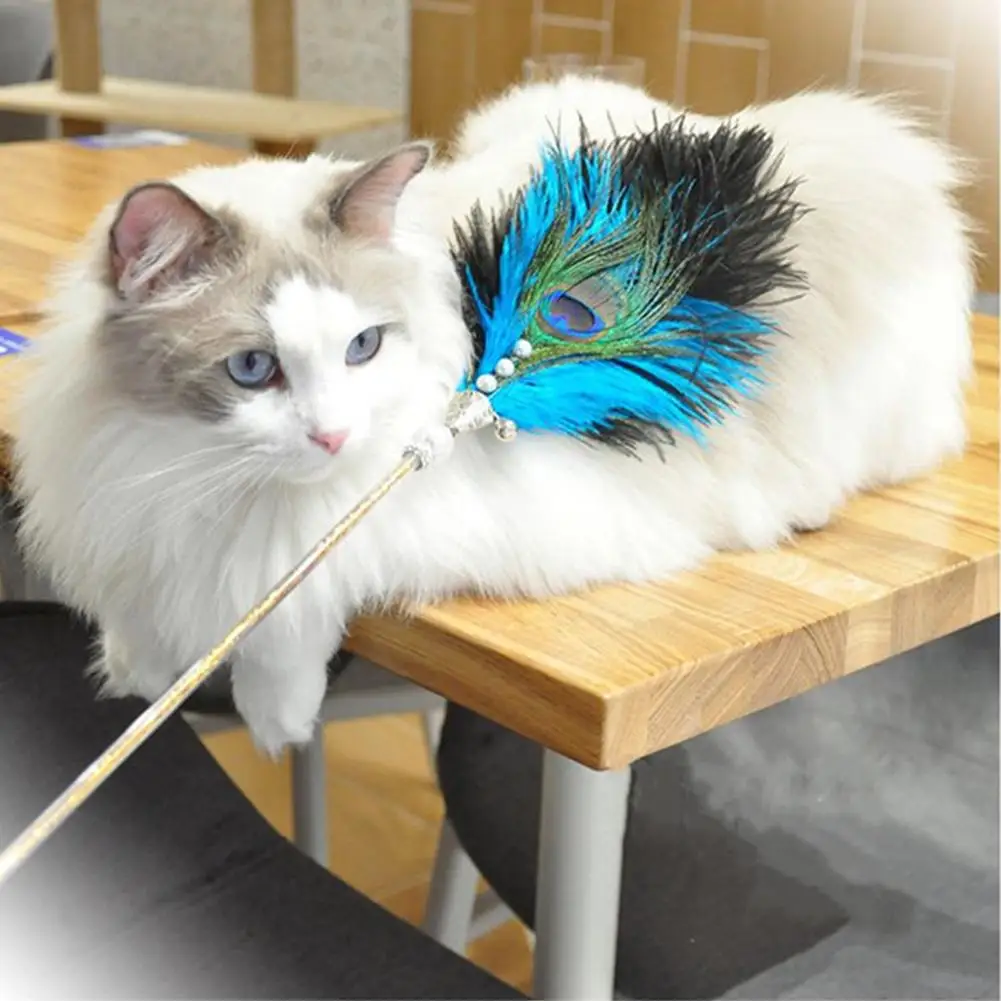 

NEW 65cm Cat Feather Teaser Stick Pet Playing Rod Play Chase Exercise Toy Pet Supplies With Loud Bell
