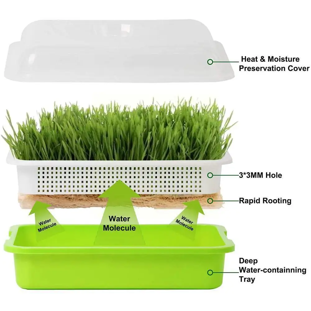 

Hydroponics Bean Sprouts Grow Dishes Plate Plant Seedling Germination Plant Tray Nursery Flower Home Nursery Garden Pot R1V2