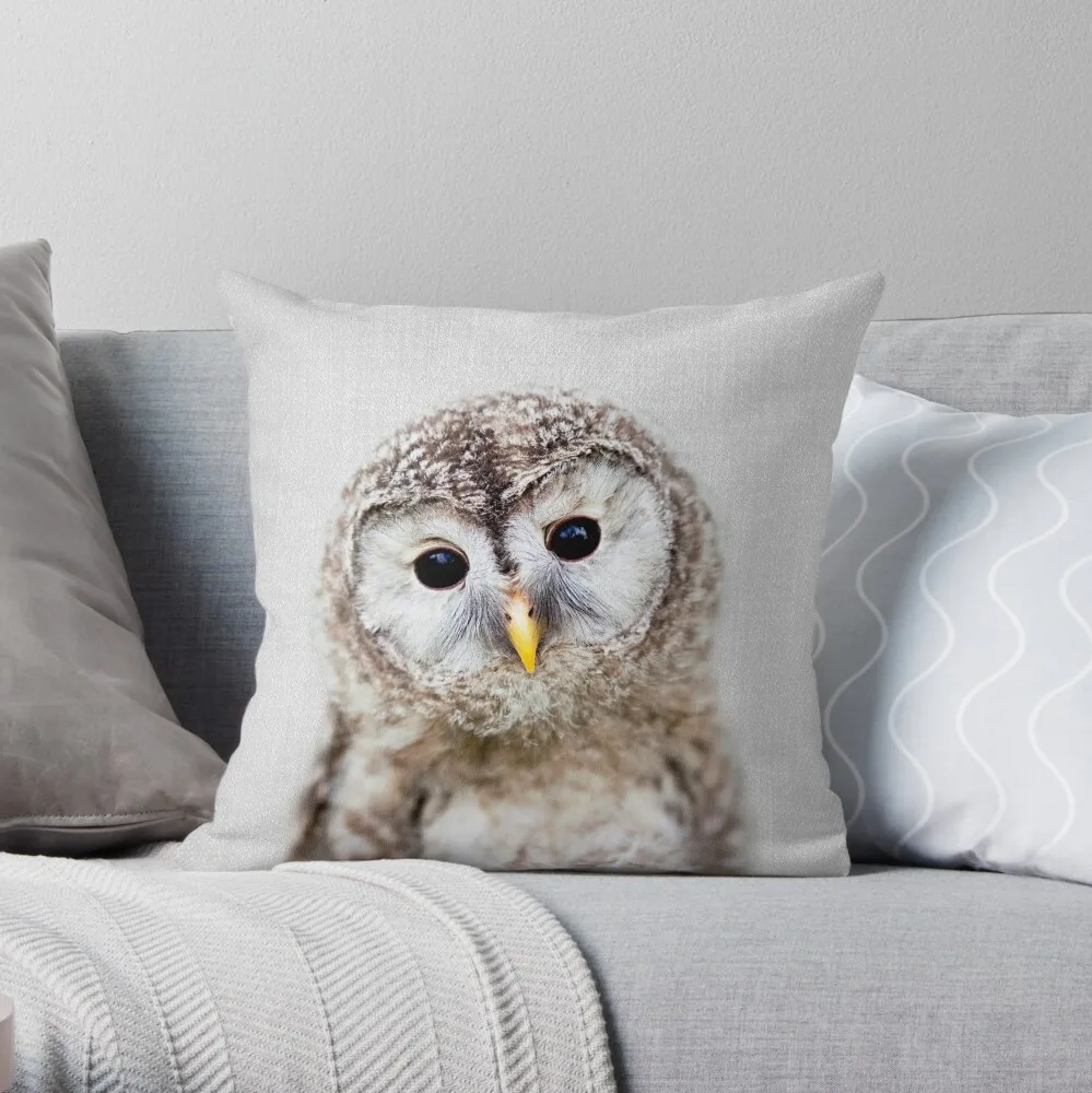 База отдыха сова ленинградская область. Неясыть база отдыха. Сова коттеджи ломоносовский район. Сова комфорт саратов косметология. Сова комфорт.