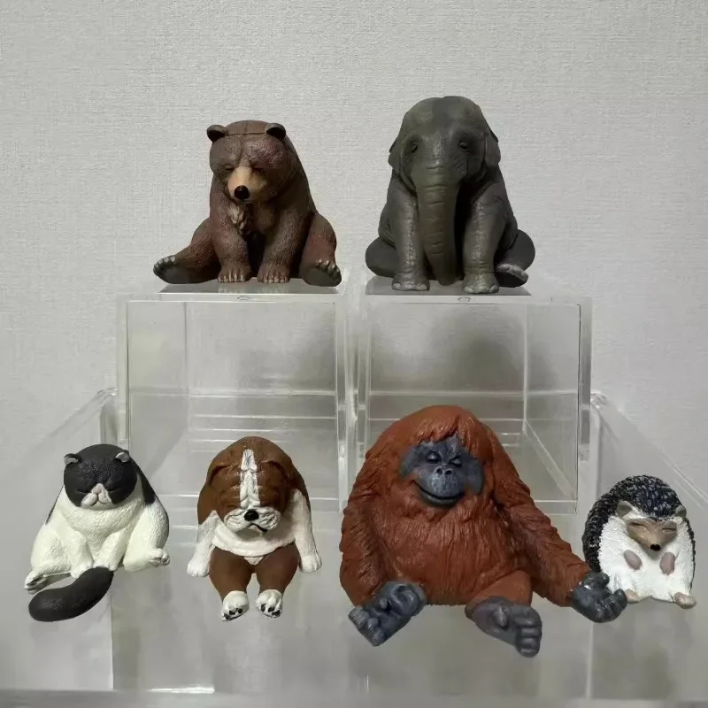 Zoo Series Gashapon Toys Собака Медведь Кошка Слон Ежик Горилла Креативная Модель Украшения