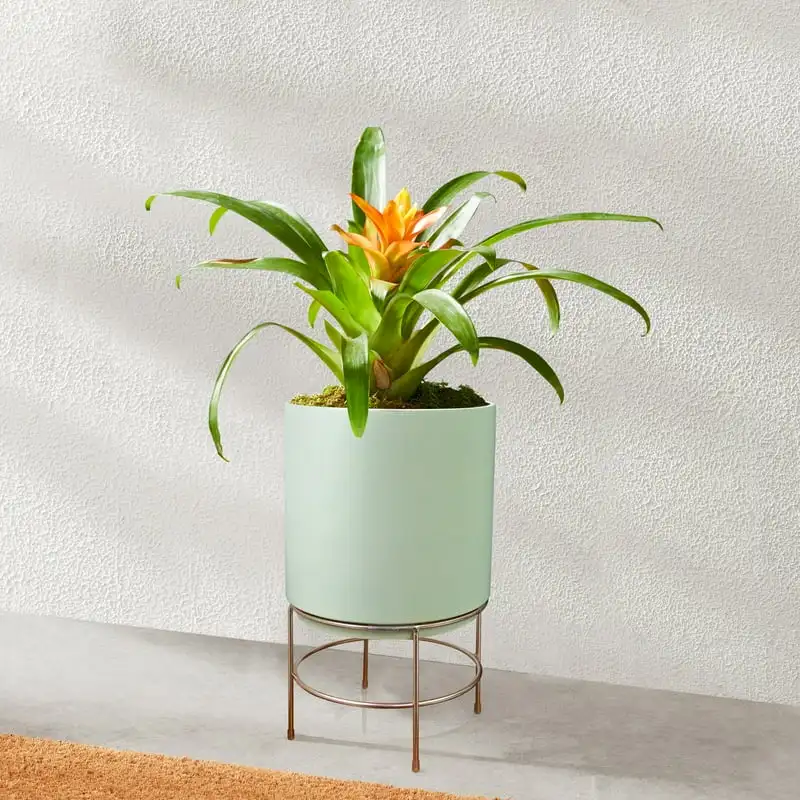 

in Dia Green Ceramic Planter with Gold Stand Garden supplies Seedling lables plastic Planter pot for indoor plants Planter Bonsa
