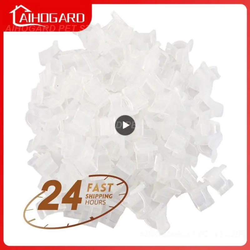 

/Pack Mini Transparent Plastic Grafting Clips Tomato Clips Plant Supports Connects Vines Plants Seeding Grafting Clips