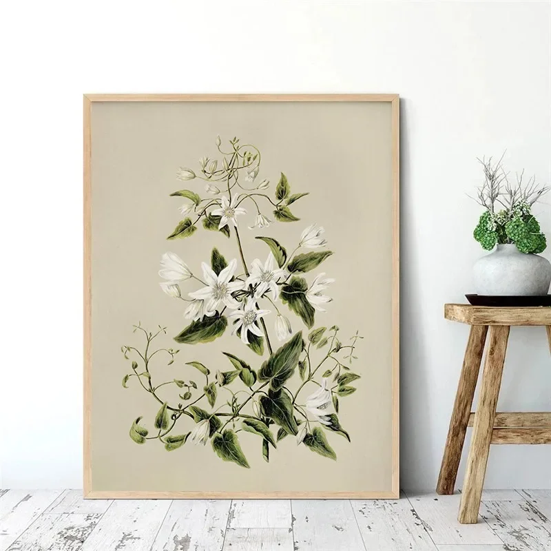 Нейтральная ботаническая печать фотосессия шесть постер цветок винтажная