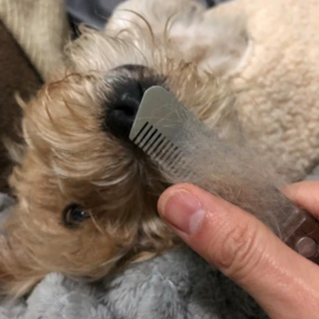 Handle Dog Stainless Steel Brushes Grooming Combs for Dog Pets Comb Coat Stripping Knife Stripper Trimmer Wooded Cleaning tool 2