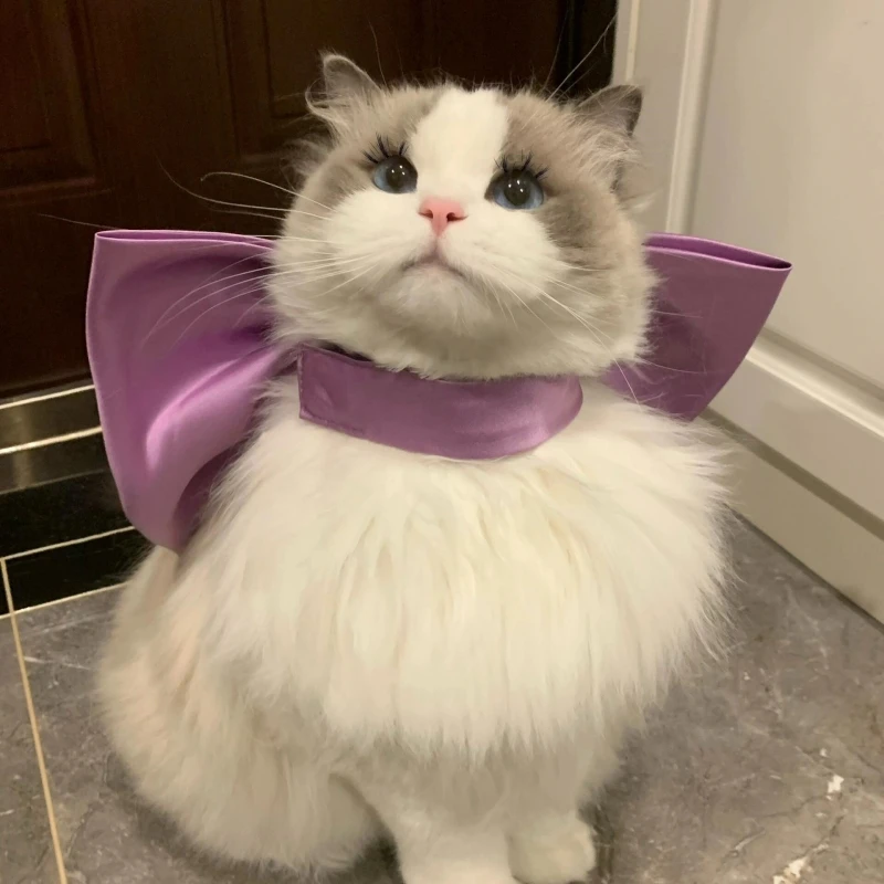 Женское кольцо для шеи с бантом том в виде кошки