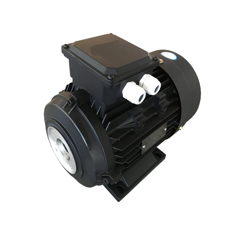 

5.5kw Hollow Shaft Electric Motor For Washing Machine Pump