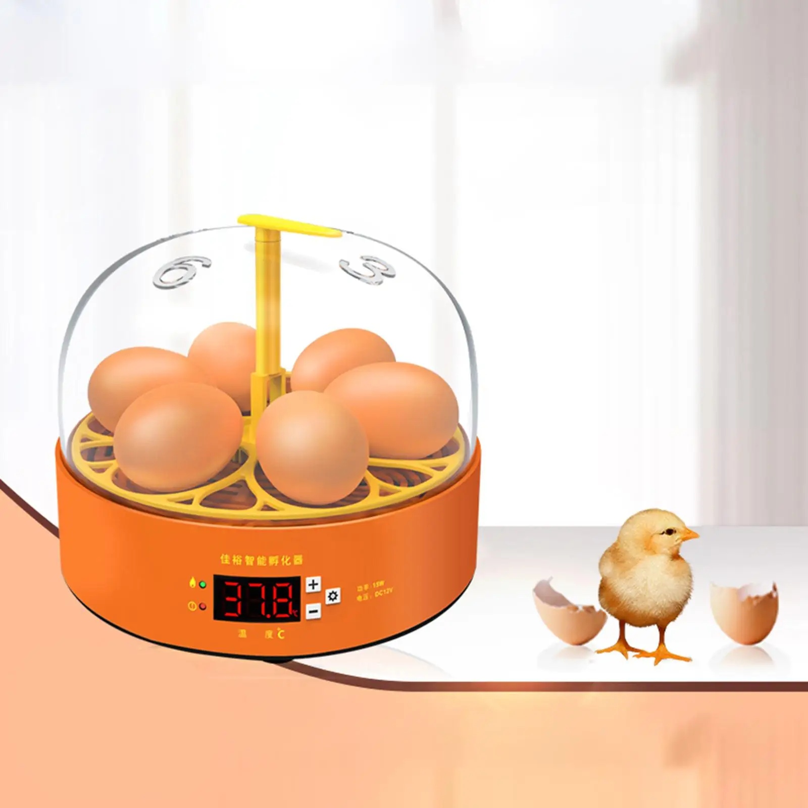 

6 Eggs Incubator Automatic Egg Turner Hatching Machine Digital Temperature Control Brooder for Poultry Hatcher Quail Birds Goose